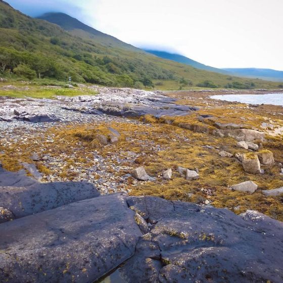 Geheimtipp für Schottland Die Isle of Mull