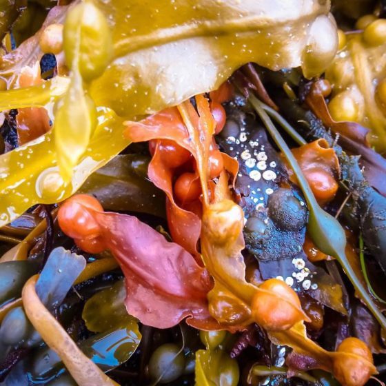 Geheimtipp für Schottland Die Isle of Mull