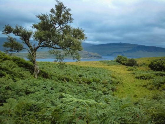 Geheimtipp für Schottland Die Isle of Mull