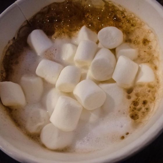 Geheimtipp für Schottland Die Isle of Mull