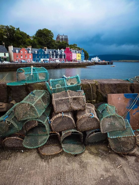 Geheimtipp für Schottland Die Isle of Mull
