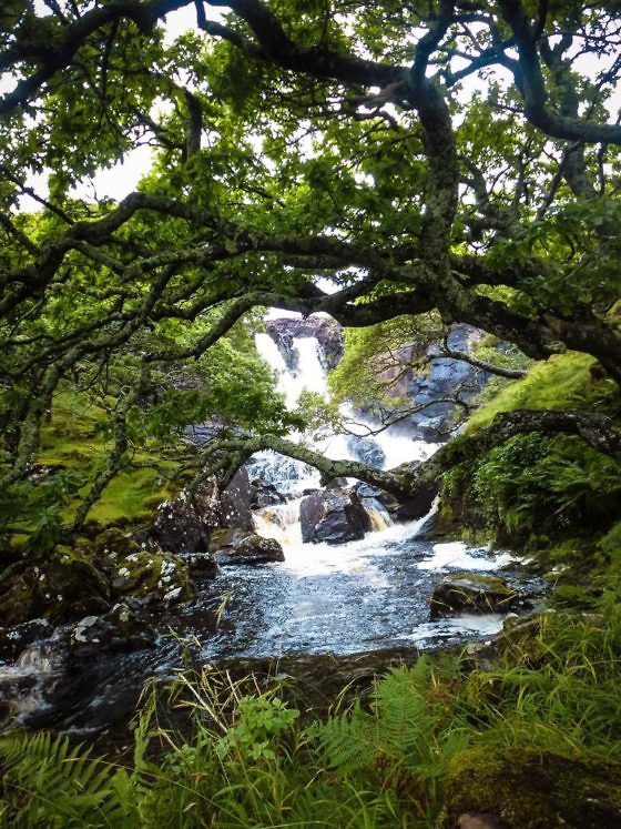 Geheimtipp für Schottland Die Isle of Mull (27)