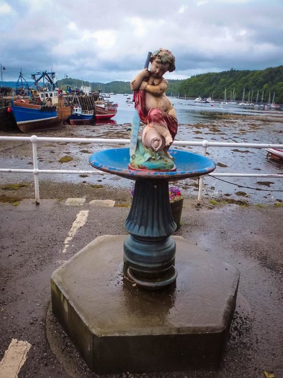Geheimtipp für Schottland Die Isle of Mull