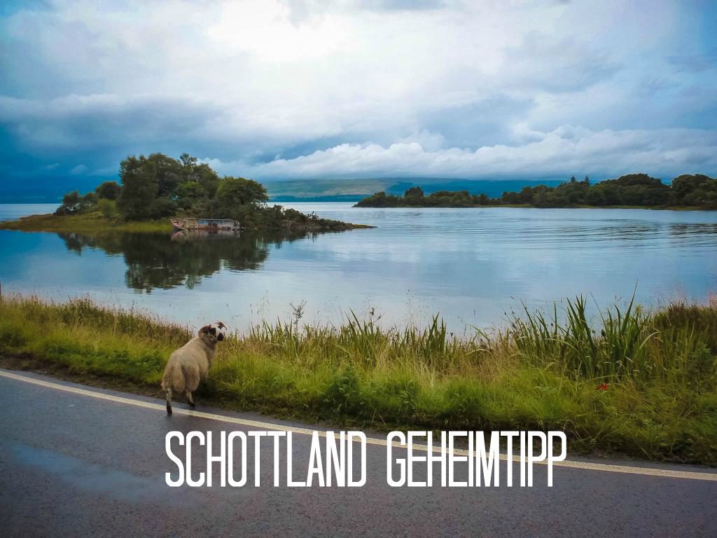Geheimtipp für Schottland Die Isle of Mull (