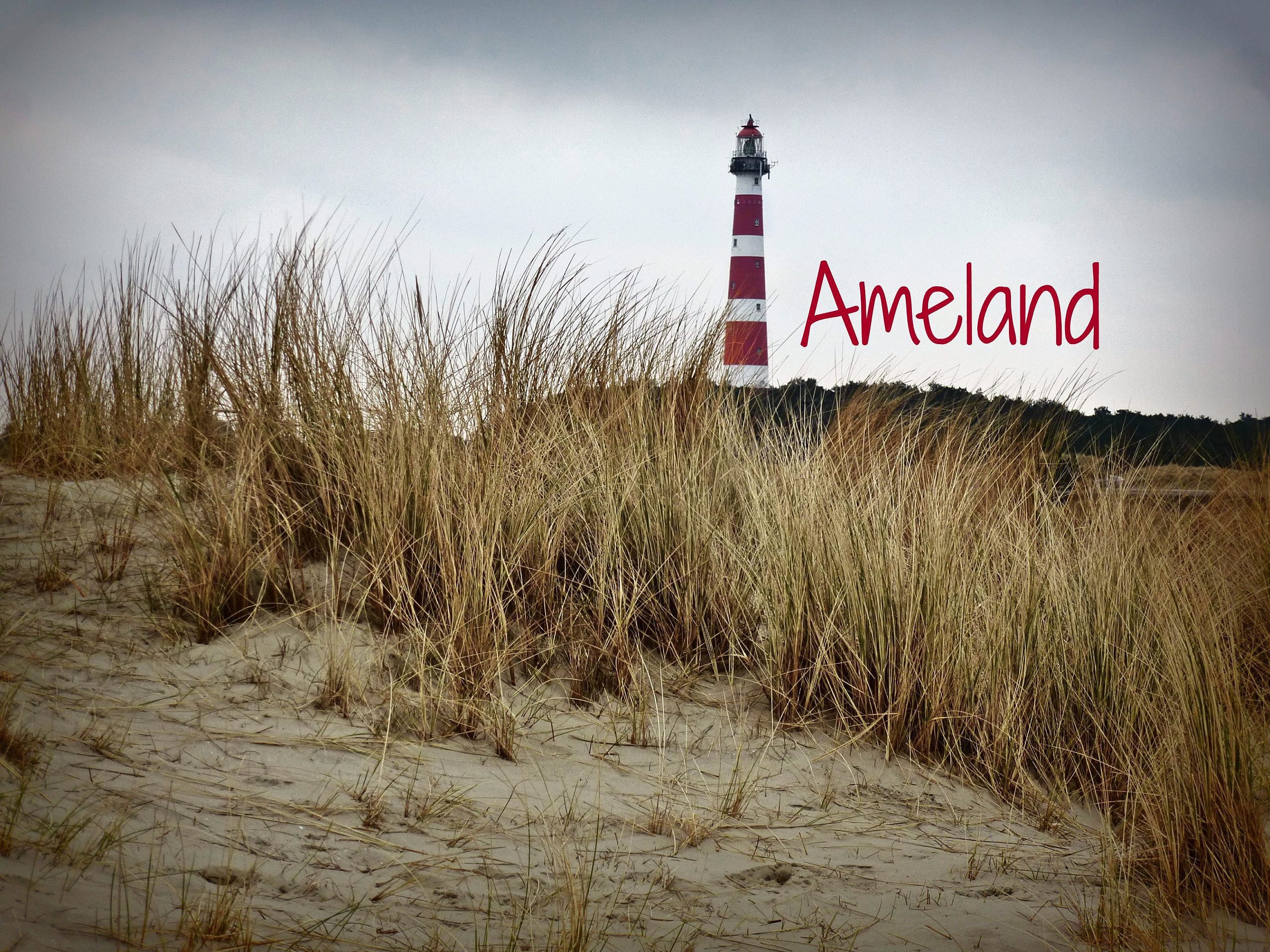 Wellen, Wind und Weite: Ein Wochenende auf Ameland