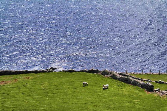 Slea Head Drive – die schönste Panoramastraße Irlands