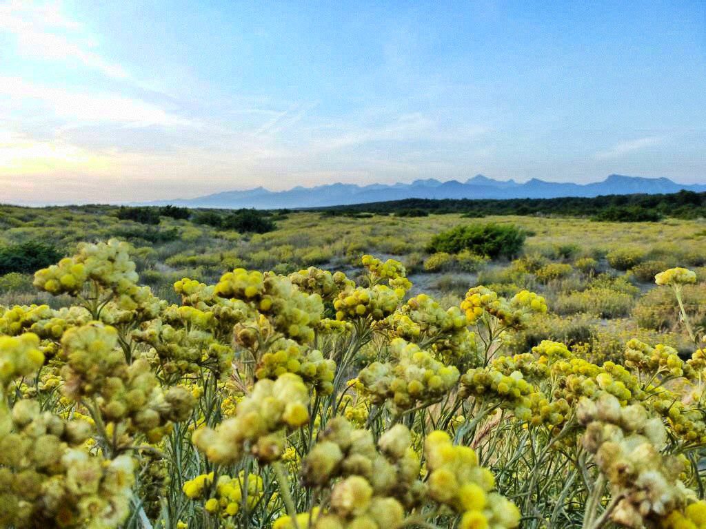 Insider-Tipps für Pisa