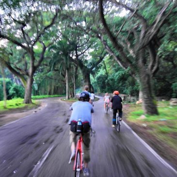 Kuba authentisch erleben