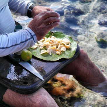 Kuba authentisch erleben