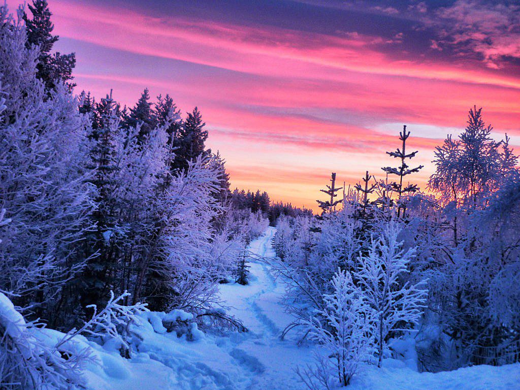 Schwedisch Lappland Highlights