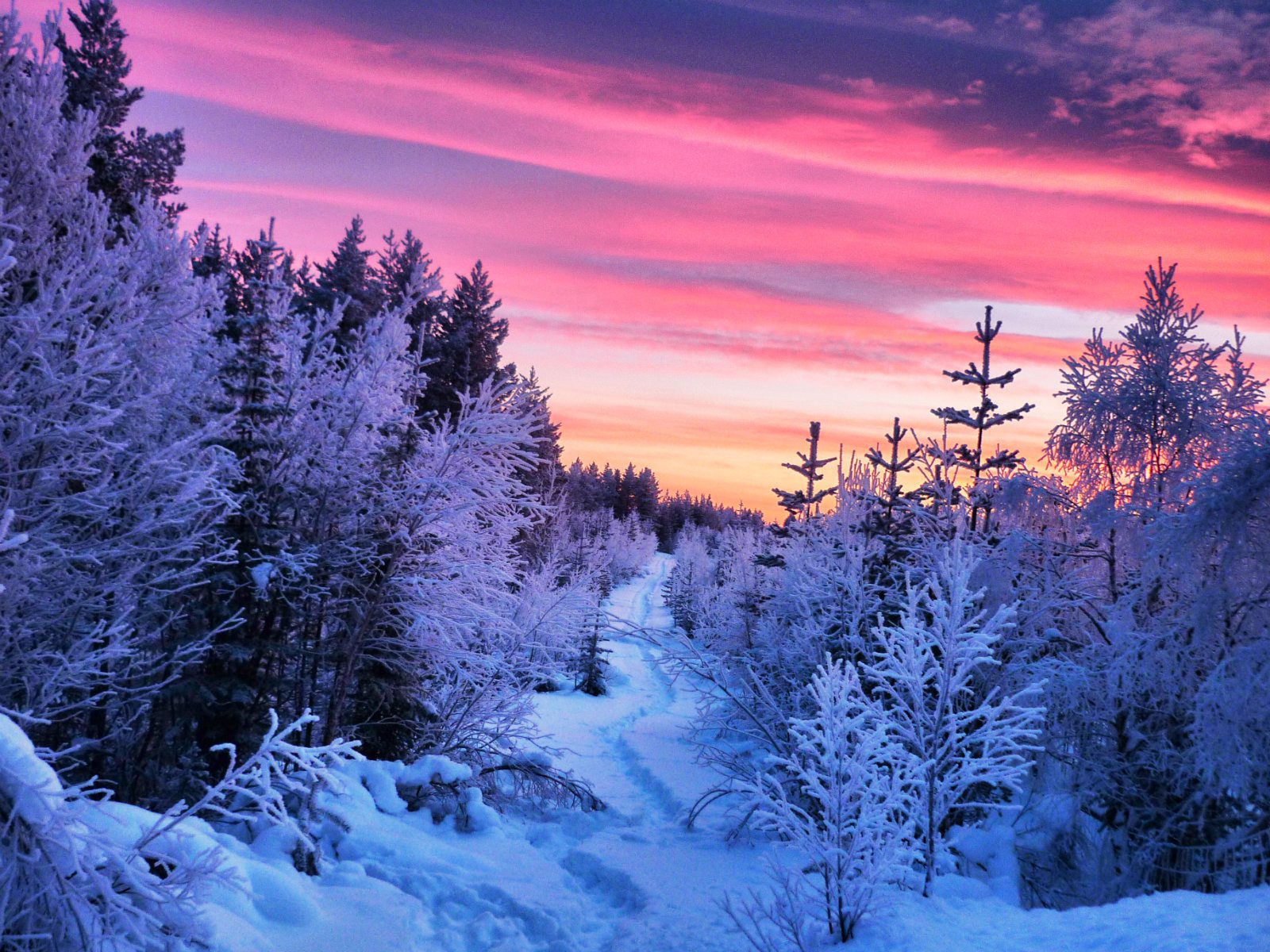 Schwedisch Lappland Highlights