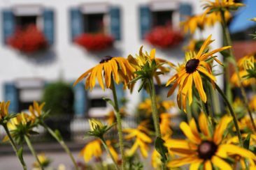 Das Lautertal Der perfekte Tagesausflug auf die Schwäbische Alb (1)Das Lautertal Der perfekte Tagesausflug auf die Schwäbische Alb