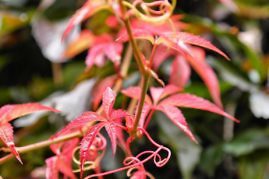 Kurzurlaub in Südtirol