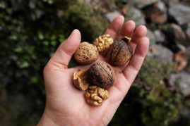 Kurzurlaub in Südtirol