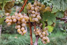 Kurzurlaub in Südtirol