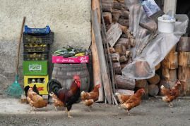 Kurzurlaub in Südtriol