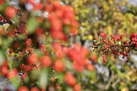 Kurzurlaub in Südtirol