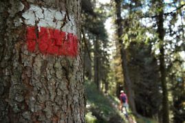 Kurzurlaub in Südtriol