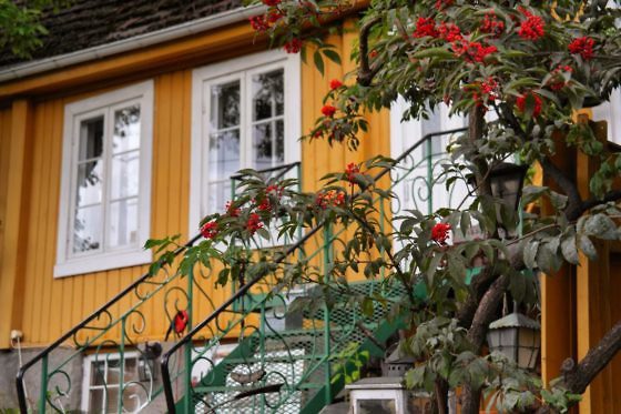 Norwegen-Kurztrip in 5 Tagen