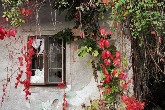 Kurzurlaub Slowenien