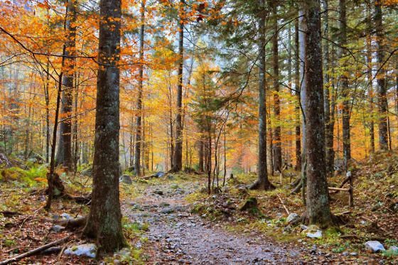 Kurzurlaub Slowenien - Logarska Dolina