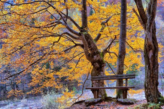 Kurzurlaub Slowenien - Logarska Dolina