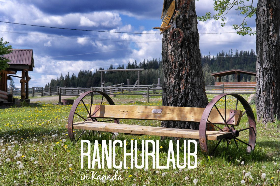 Ranchurlaub in Kanadas Cowboy Country