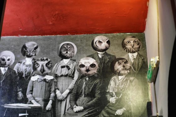 Ruin Pub Tour in Budapest - Instant