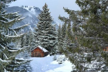 Schneeschuhwandern in Tirol