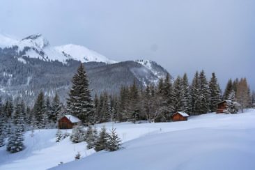 Schneeschuhwandern in Tirol