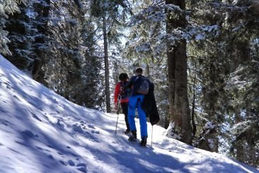 Schneeschuhwandern in Tirol