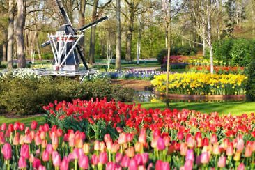 Urlaubstipps für Noordwijk aan Zee im Frühling