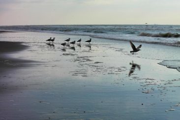 Urlaubstipps für Noordwijk aan Zee im Frühling