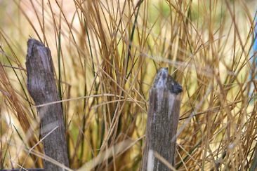 Urlaubstipps für Noordwijk aan Zee im Frühling