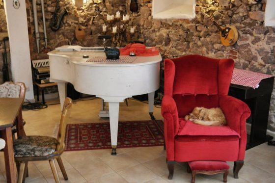 Auf Schlössertour in Sachsen Besondere Ausflugsziele & Tipps - Schloss Proschwitz