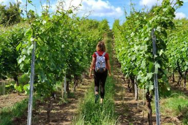Auf Schlössertour in Sachsen Besondere Ausflugsziele & Tipps - Schloss Proschwitz