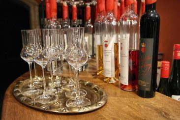 Auf Schlössertour in Sachsen Besondere Ausflugsziele & Tipps - Schloss Proschwitz