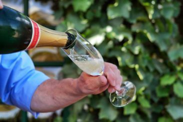 Auf Schlössertour in Sachsen Besondere Ausflugsziele & Tipps - Schloss Proschwitz