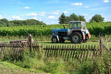 Auf Schlössertour in Sachsen Besondere Ausflugsziele & Tipps - Schloss Proschwitz