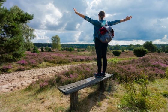 Deutschlands schönste Heide-Wanderung Der Heidschnuckenweg in der Lüneburger Heide