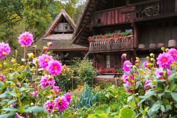 Schwarzwald wie anno dazumal - Vogtsbauernhof (1)