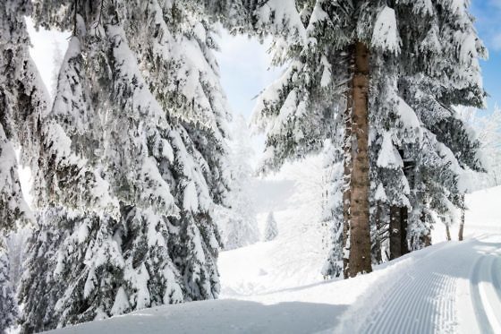 Das perfekte Adventswochenende in Baden-Württemberg