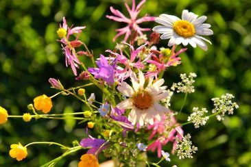 Maramures in Rumänien