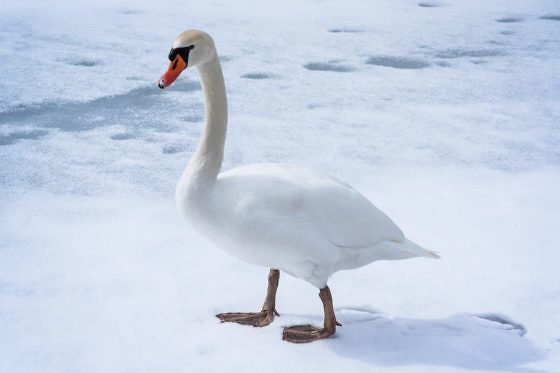 Das perfekte Winterwochenende in Tirol