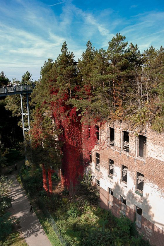 Das perfekte Wochenende im Fläming - Beelitz Heilstätten