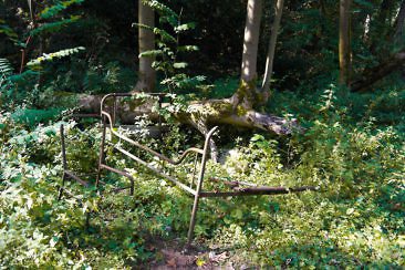 Das perfekte Wochenende im Fläming - Beelitz Heilstätten
