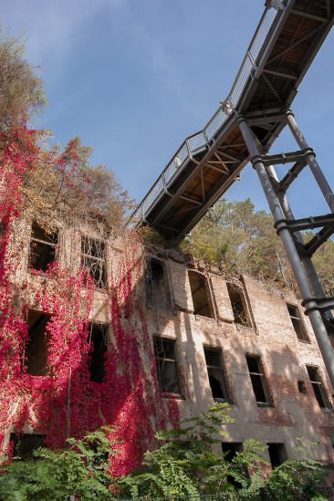 Das perfekte Wochenende im Fläming - Beelitz Heilstätten