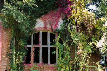 Das perfekte Wochenende im Fläming - Beelitz Heilstätten