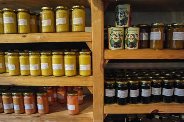 Das perfekte Wochenende im Fläming - Museumsdorf Baruther Glashütte