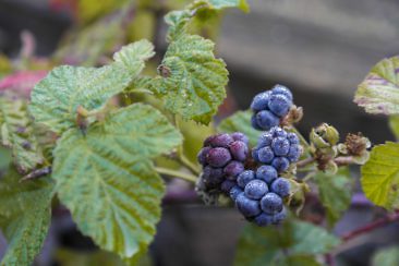 Das perfekte Wochenende im Fläming - Bahnhof Rehagen